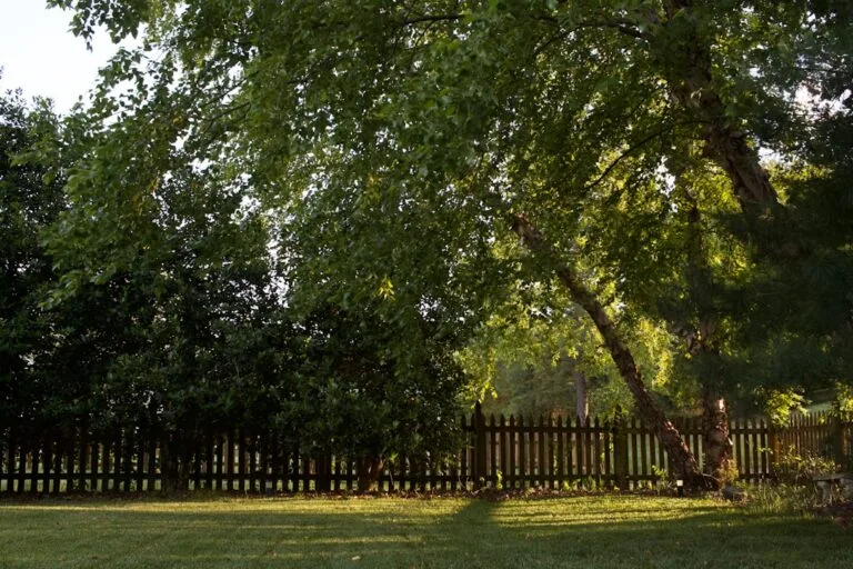 Adverse Possession in California: Why These Claims Are So Rare