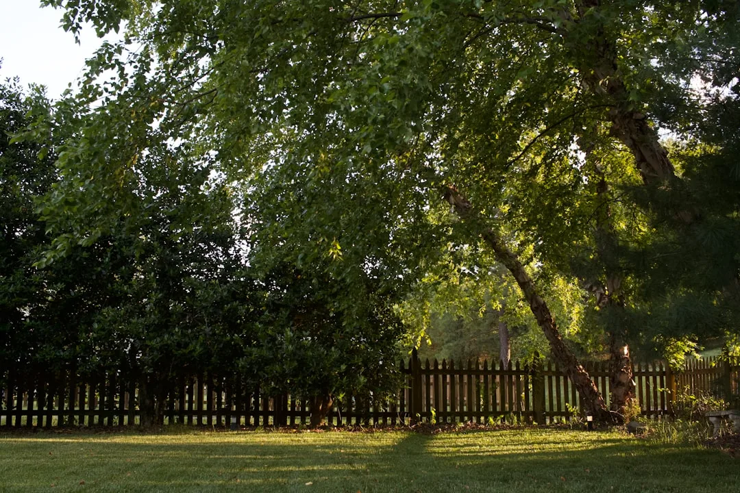 Fence marking a property boundary in a residential backyard