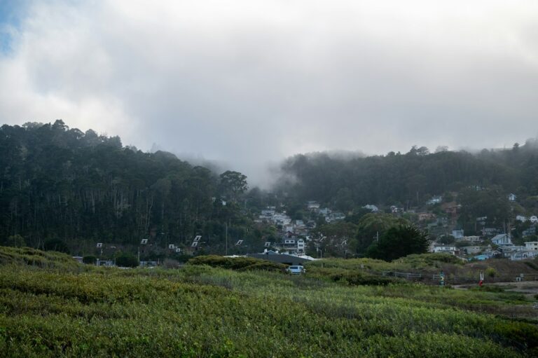 California’s Natural Hazard Disclosure Statement: What Sellers Must Provide