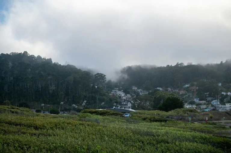 California’s Natural Hazard Disclosure Statement: What Sellers Must Provide