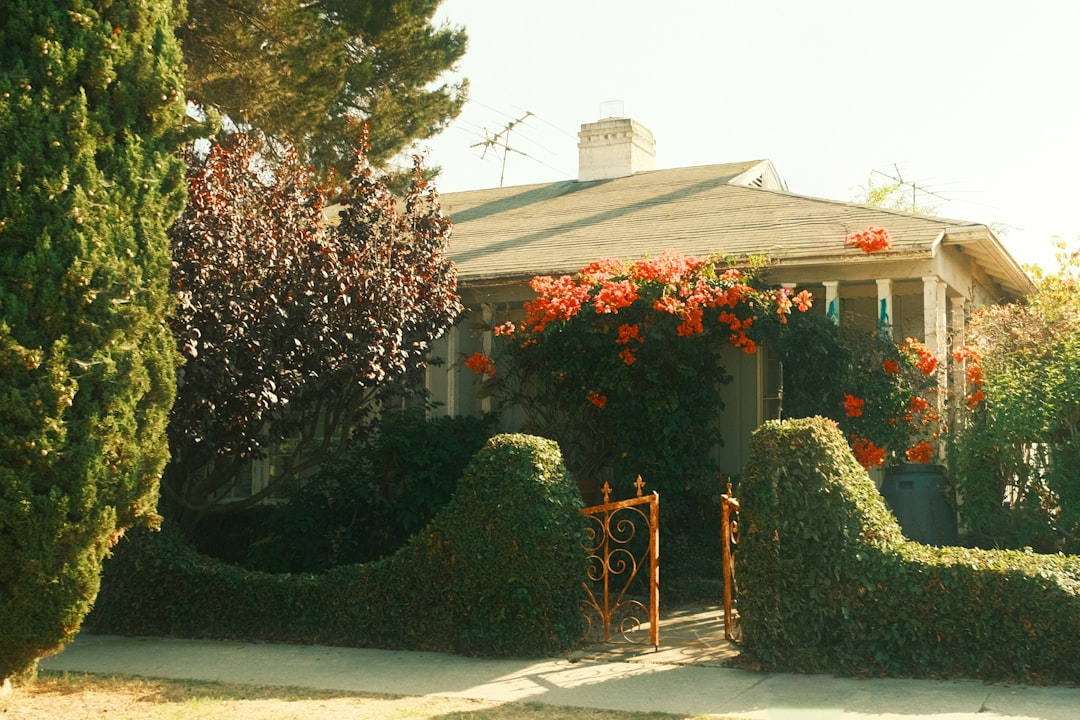 California house with a flowering front garden, the kind of jointly owned property at issue in a partition action