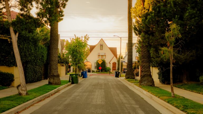 Palm-lined California residential street of the kind where tenant-occupied houses change hands