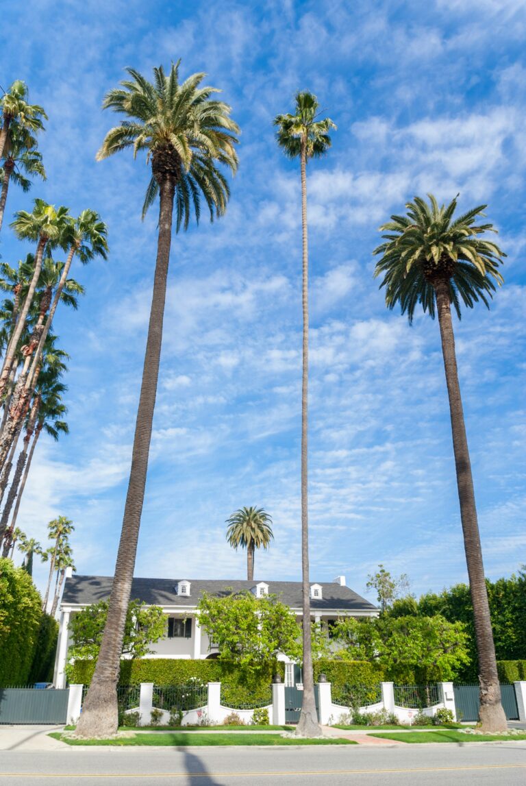What REAP Actually Means for a Los Angeles Landlord Trying to Sell 4 What REAP Actually Means for a Los Angeles Landlord Trying to Sell