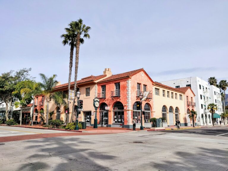 California courthouse exterior with palm trees, San Bernardino County probate