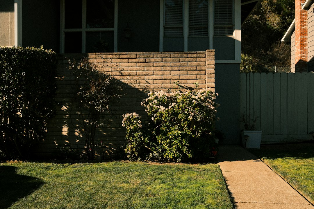 The Foreclosure Timeline for a Montebello, CA Homeowner 1 Suburban house exterior with walkway and green lawn