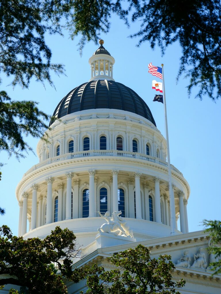Orange County Tax-Defaulted Property Auction: How to Claim Excess Proceeds